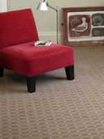 plaid carpet